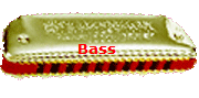 Bass 